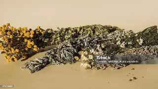 探秘上海顶级按摩名店：享受身心放松的奢华之旅 poster