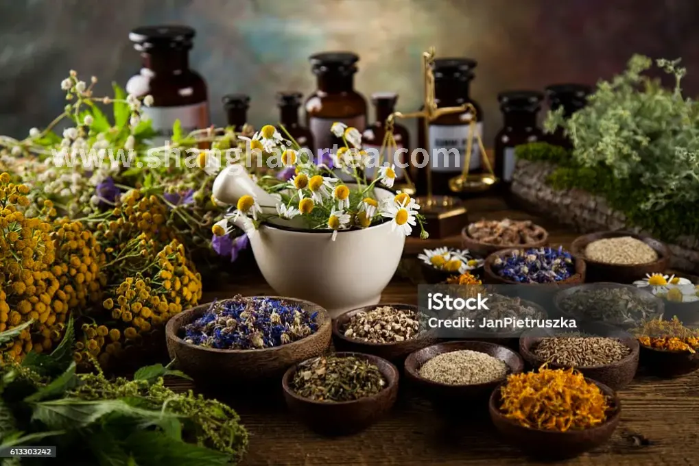 桑拿的养生功效