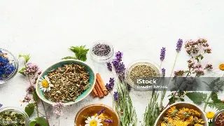 魔都桑拿大揭秘：哪种蒸汽最懂你的疲惫？深度解读上海桑拿类型