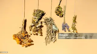 拯救熬夜脸！魔都精致猪猪女孩都在偷偷用的3个部位护理秘籍