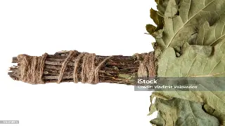 告别疲惫！魔都舒压新体验：不止于按摩，更是身心灵的深度SPA之旅