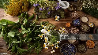 上海按摩市场观察：疲劳时代下的养生革命