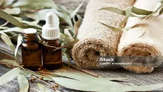 告别僵硬！上海按摩师私藏：小白也能学会的肩颈放松秘籍