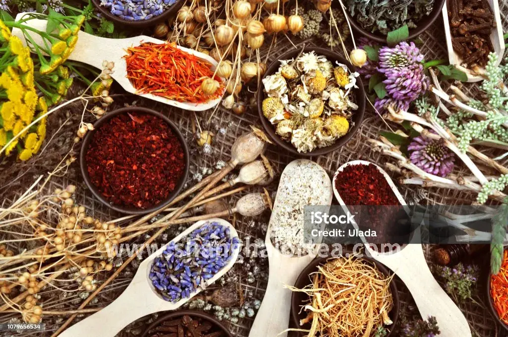 上海高级桑拿养生