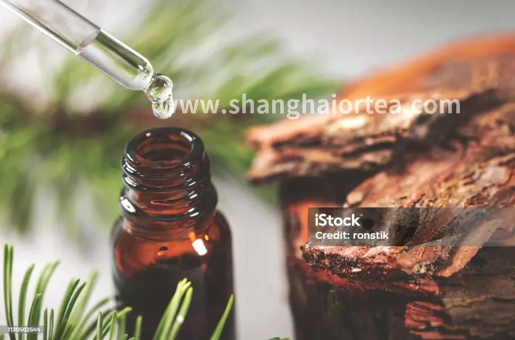 上海按摩技师展示专业的按摩手法