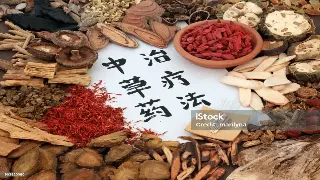 从黄帝内经到魔都SPA：千年按摩术的 上海 养生奇妙之旅 封面