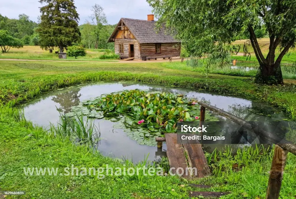 舒适的桑拿房内部