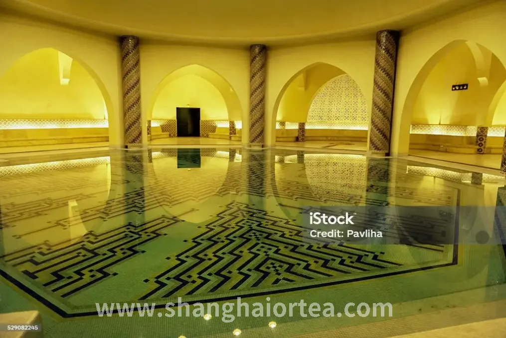 政府官员正在考察按摩养生机构