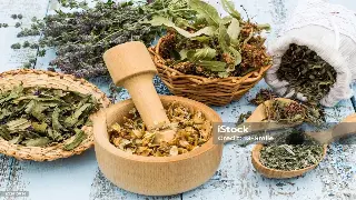 告别疲惫，解锁上海式身心舒缓：颈肩腰背的秘密护理指南