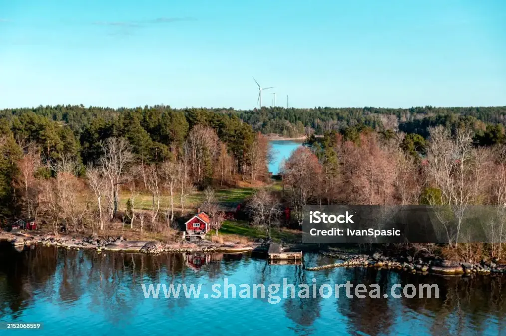 桑拿房内的热气